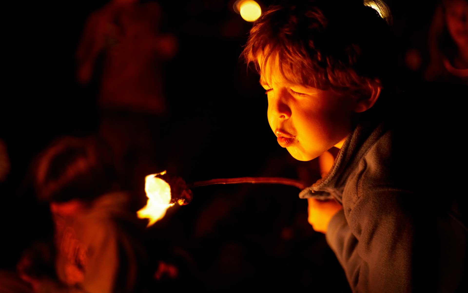 Campfire / Smores