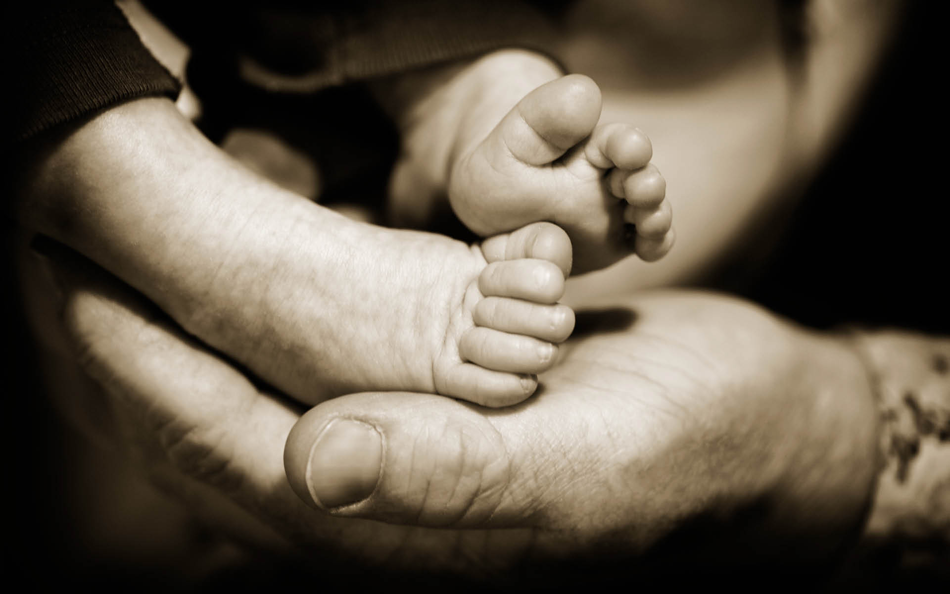 Baby feet