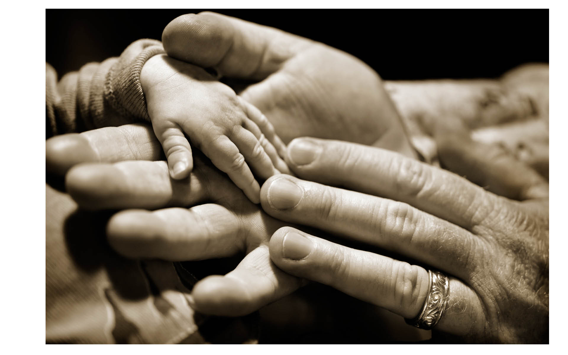Father + Baby Sons Hands